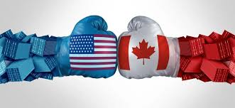 Rising Tensions and Security Challenges at the U.S.–Canada Border in 2026 - BERITAJA